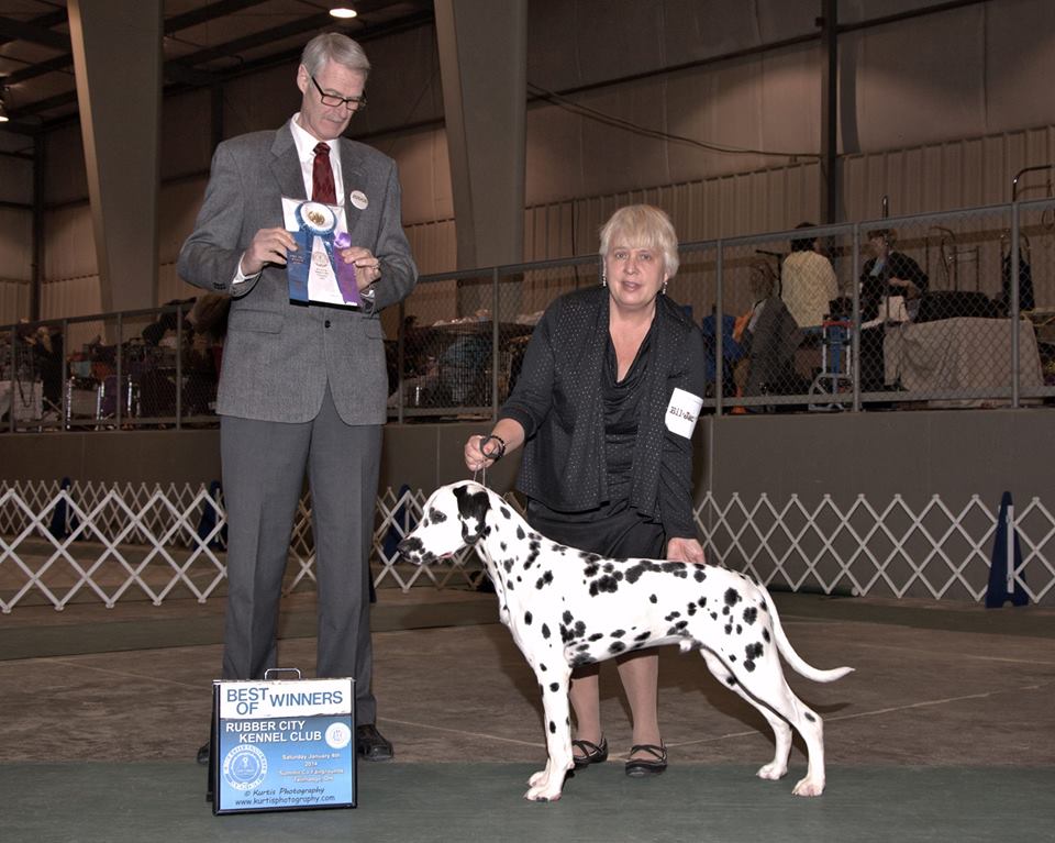 10175987_674157752630185_6731187007200449417_n