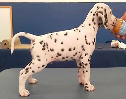 1959691_358383687675834_2226423728337313713_n