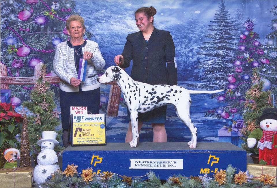 Judge: Mrs. Rita Holloway 12-9-17 Handler: Paris Dizak
