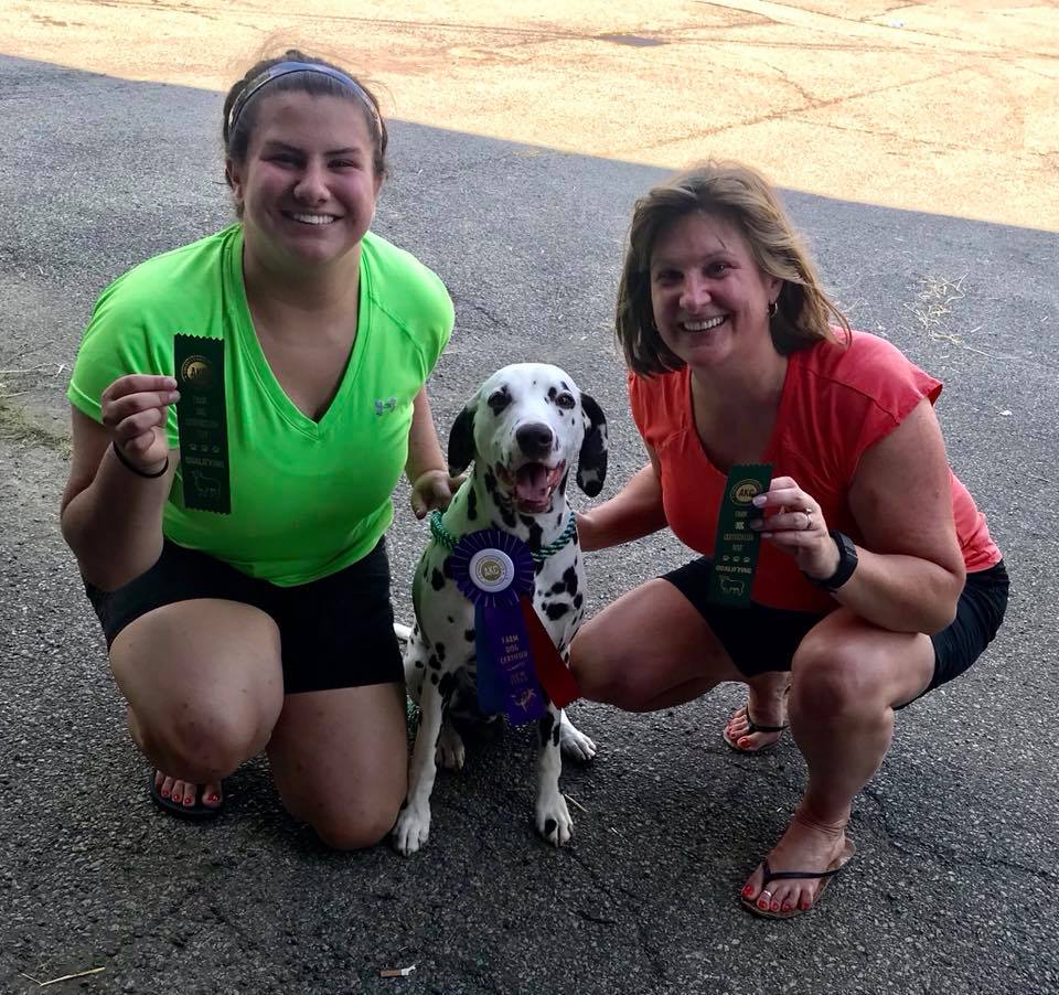 38482616_2122357648085563_3834129837853769728_n